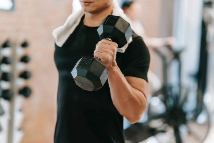 muscle